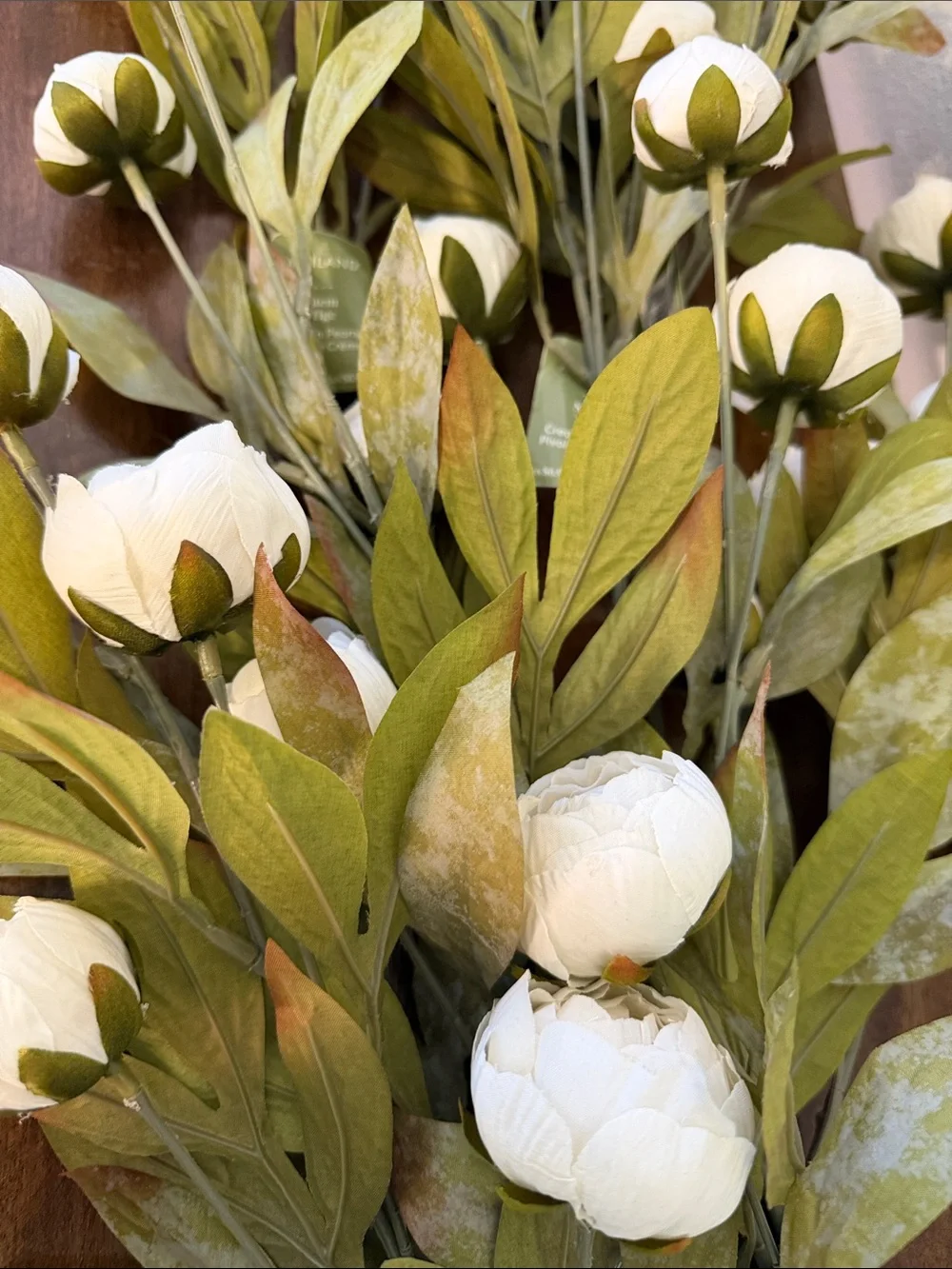 (8) NWT Cream Peony Stems by Ashland